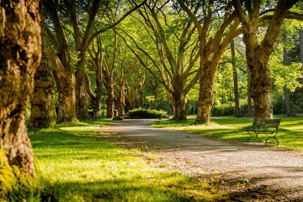 Comment utiliser des techniques de xéroscapage pour les jardins publics en milieu aride ?