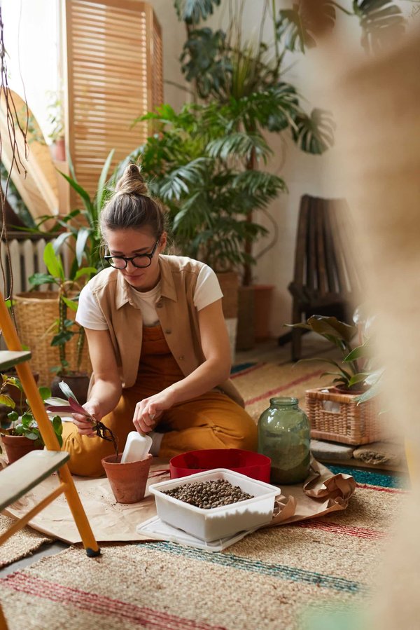 Comment choisir et prendre soin de plantes d'intérieur faciles ?